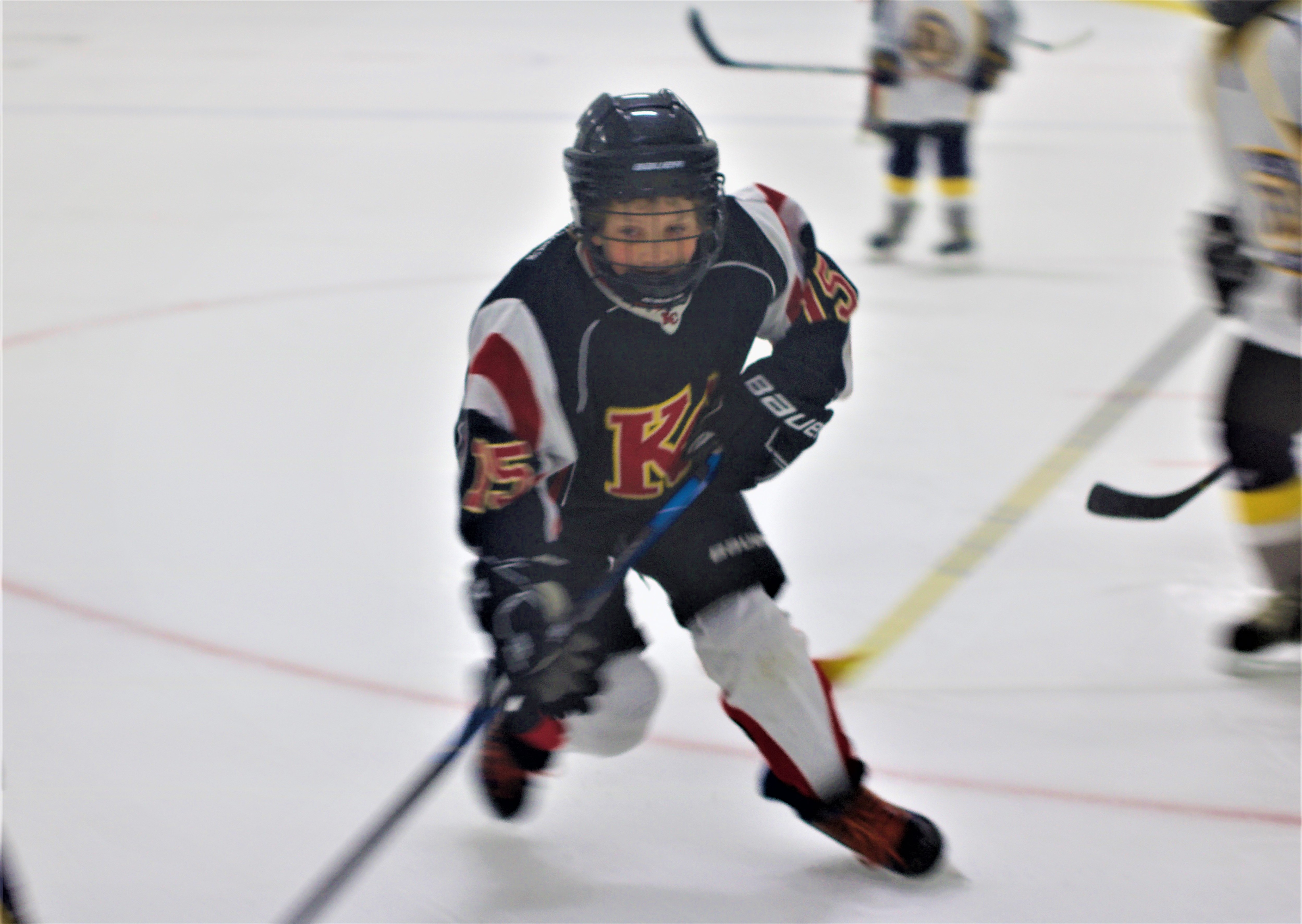 Hockey Edmonton site by RAMP InterActive